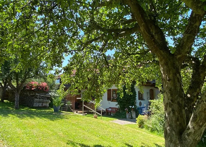 Haus Wiesengrund 公寓 弗劳埃瑙